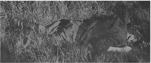 Tapetud Eduard Sisas