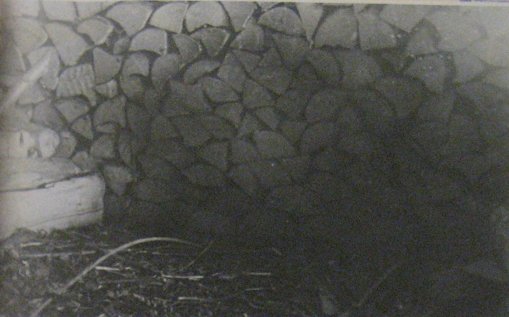 Punkriluuk suletuna. Foto:Rahvusarhiiv