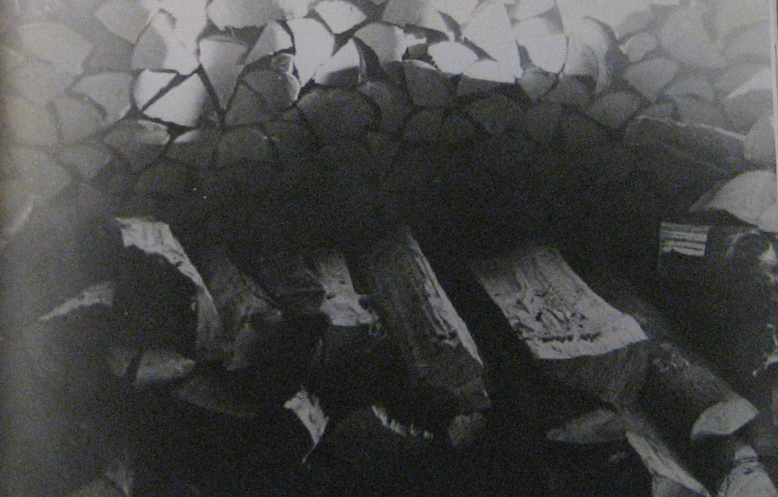 Puudega varjatud punkriluuk. Foto:Rahvusarhiiv