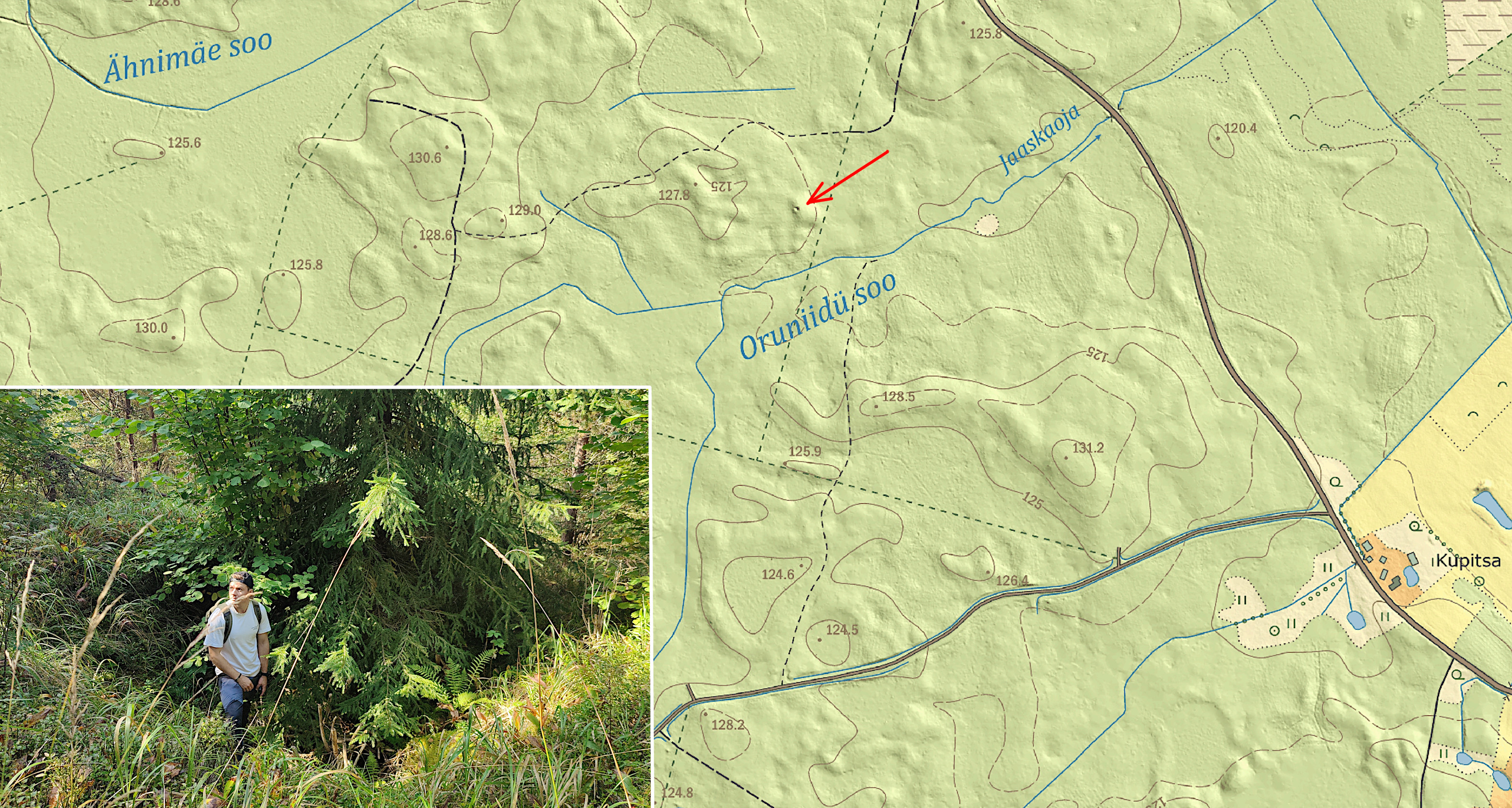 Punkriase Rauskapalus